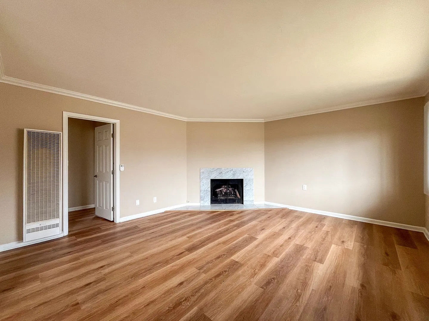 221 Sheldon St — Photo 4