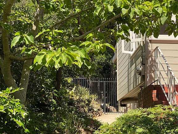 Front view of side garden.