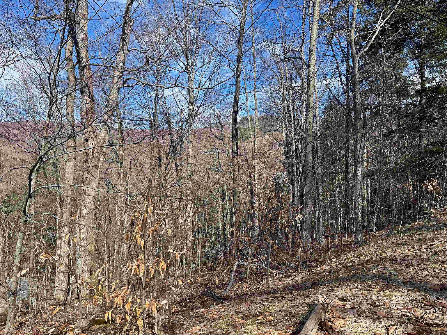 247 East Ash Road, Plymouth, VT 05056 MLS 4994273 Zillow