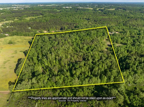 0 Burkett Ln, Wildersville, TN 38388