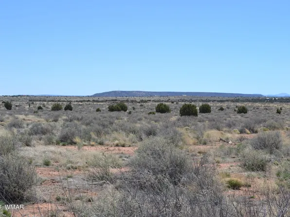 5073 White Antelope Rd, Snowflake, AZ 85937