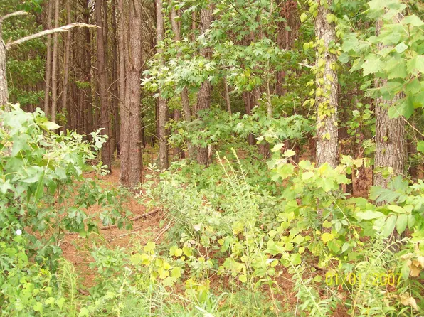 LOT 2 Riverbend Rd., Loris, SC 29569