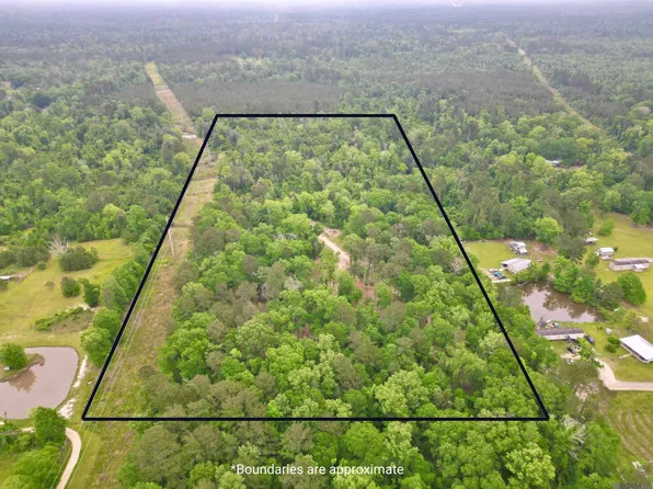 22130 Hopkins Rd, Holden, LA 70744