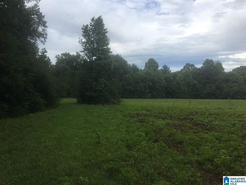 2nd image of Cold Branch Rd