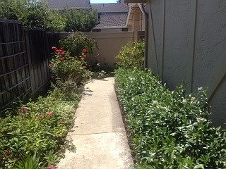2nd image of 289 Silverfish Ct