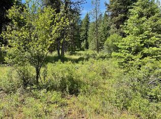 LOT 20 Little Salmon Rd, New Meadows, ID 83654