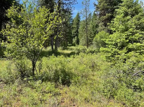 LOT 20 Little Salmon Rd, New Meadows, ID 83654