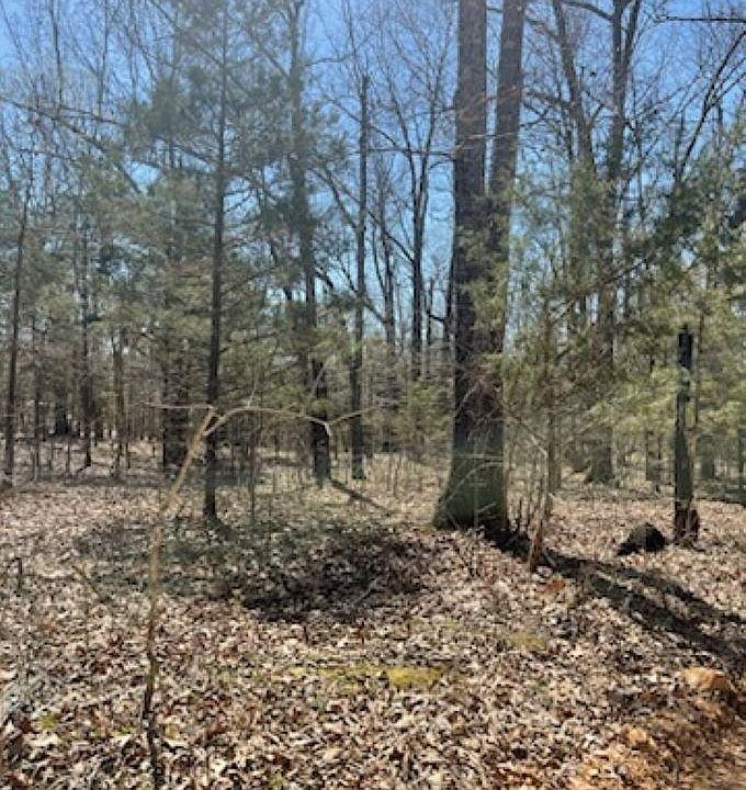 2nd image of Lots 309 & 310 Haven Dr