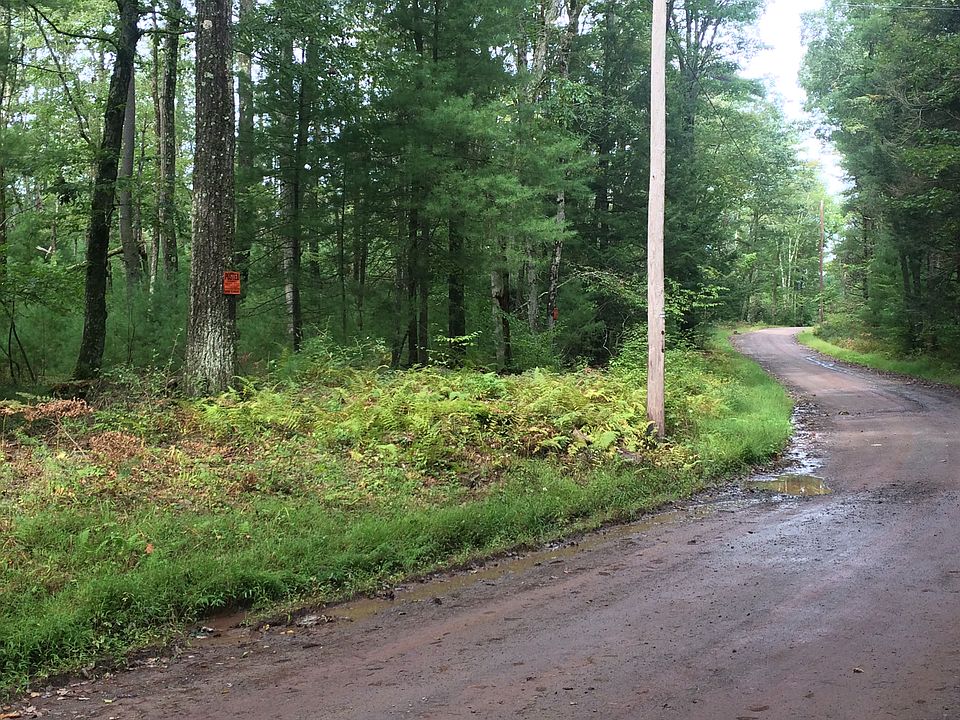 View from Steiner Road
