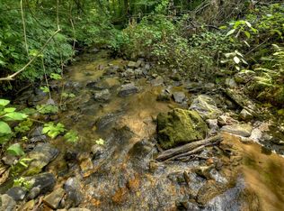 Highway 52e, Ellijay, GA 30536