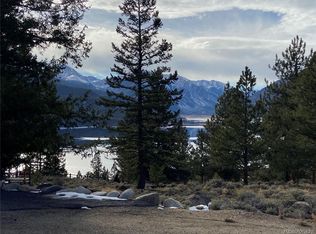 501 Reva Ridge Rd, Twin Lakes, CO 81251
