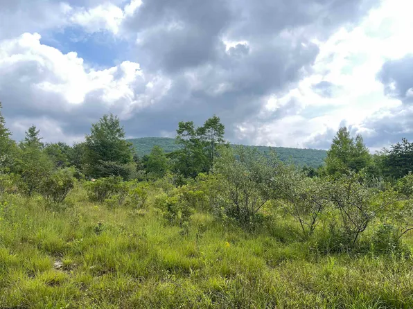 Lots 4 & 5 Grosbeak Dr, Terra Alta, WV 26764
