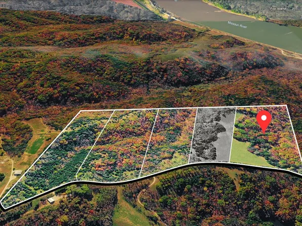 TRACT 1 E Cedar Tree Ln, Hartsburg, MO 65039