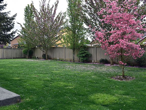 5th image of 11001 NE 109th St