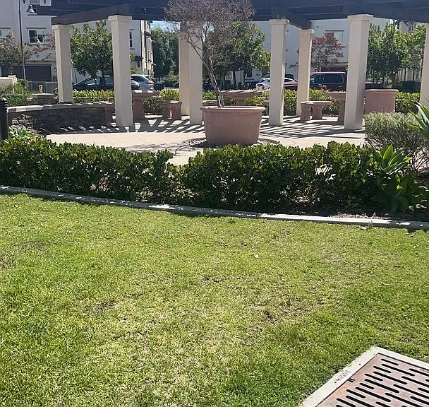 3511 Brody Way — Photo 31