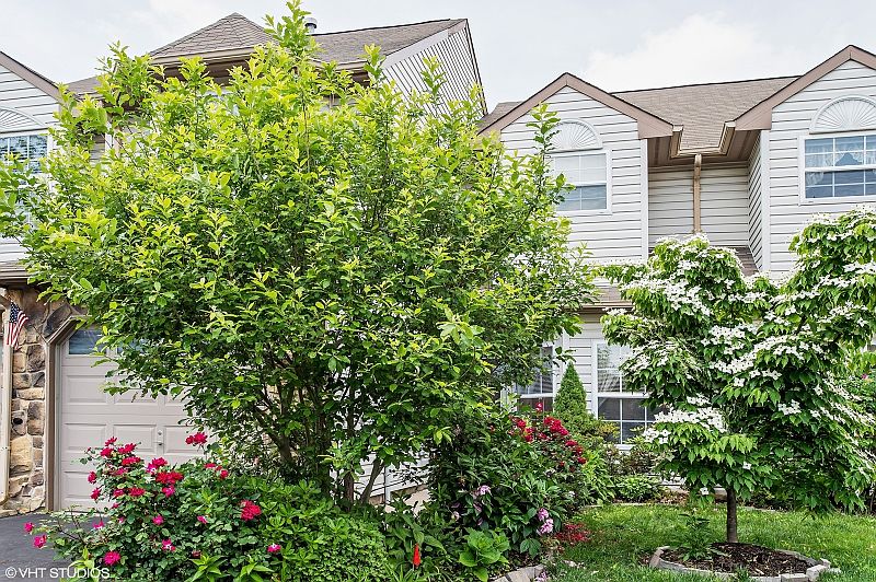 1st image of 313 Pegasus Rd