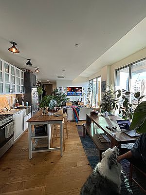 5th image of 10 Montieth St APT 510