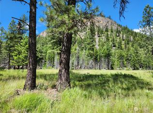 14123 S Highway 21, Republic, WA 99166