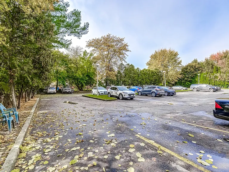 82 Delaware Ave — Photo 31