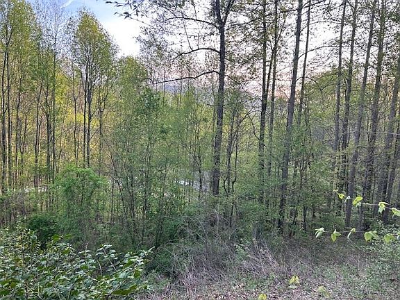 5th image of 0 Yellow Branch State Rd.1267