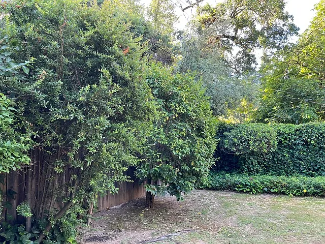 Beautiful landscaped yard