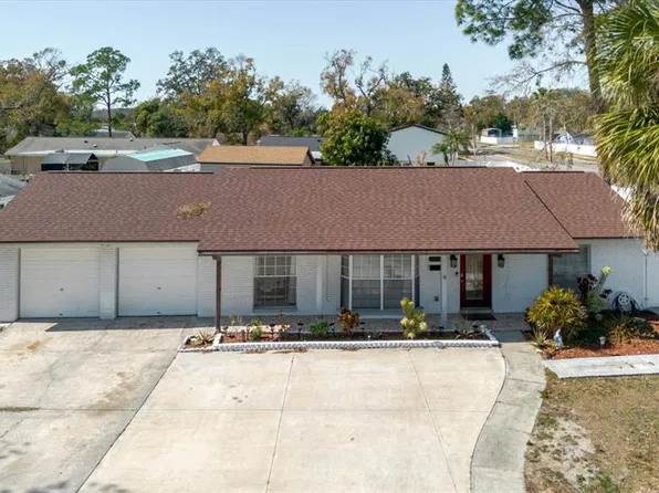 7008 Mintwood Ct, Tampa, FL 33615