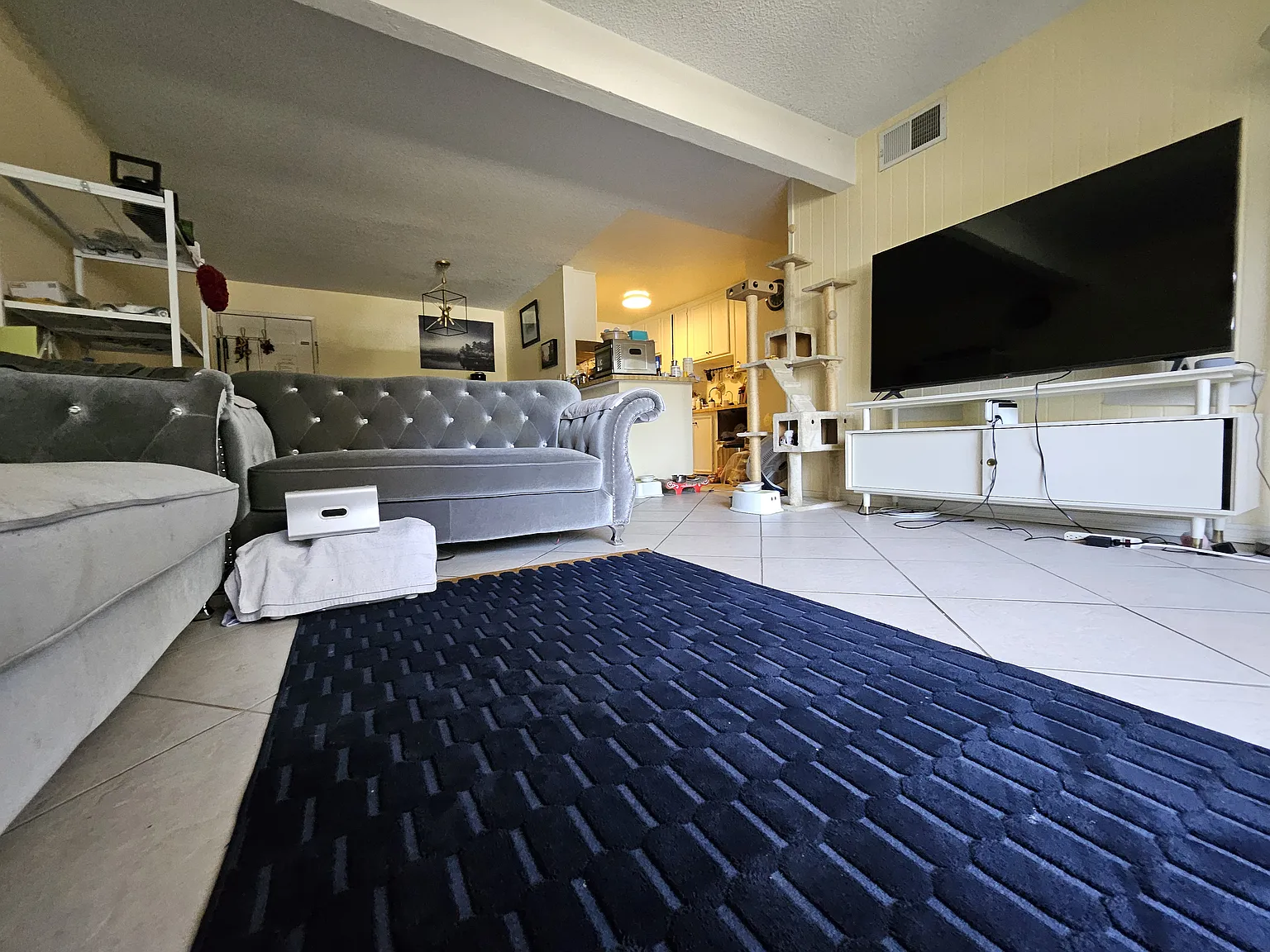 3 bed, 1071 sqft, $3,100 — Photo 4