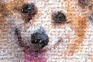 Rented by R New York