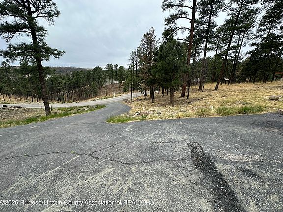 4th image of 125 Crown Ridge Rd