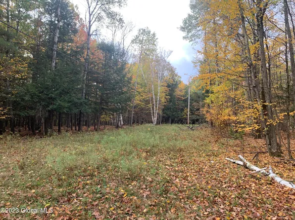 Lot 3 Clickman Road, Westerlo, NY 12193