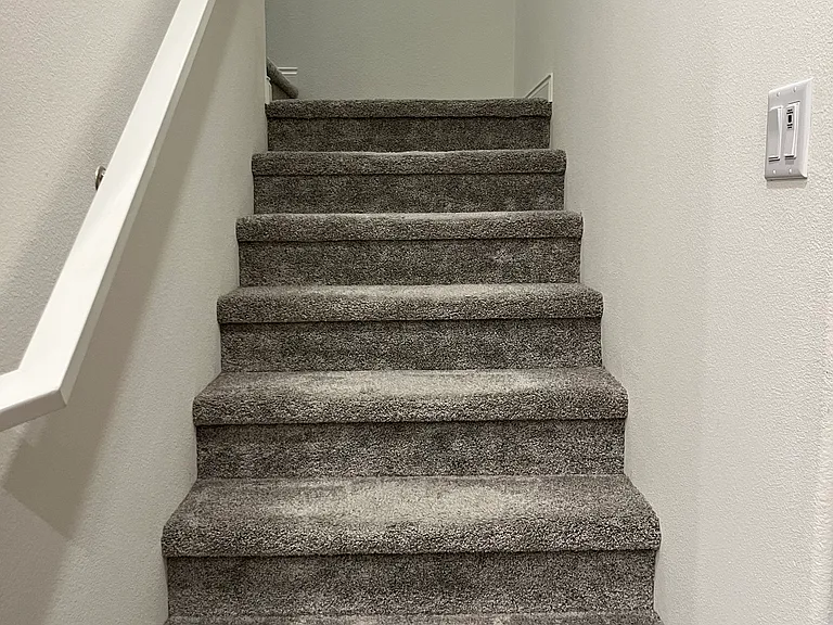 54 Harmony Dr — Photo 17