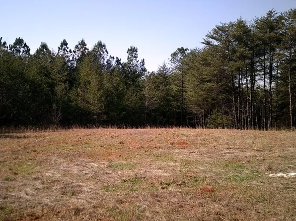 Henderson Mountain Rd, Jasper, GA 30143