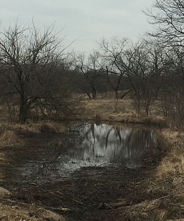 5th image of County Road 2646