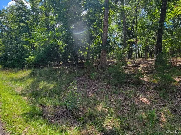1240 Spring Creek Dr, Sunrise Beach, MO 65079