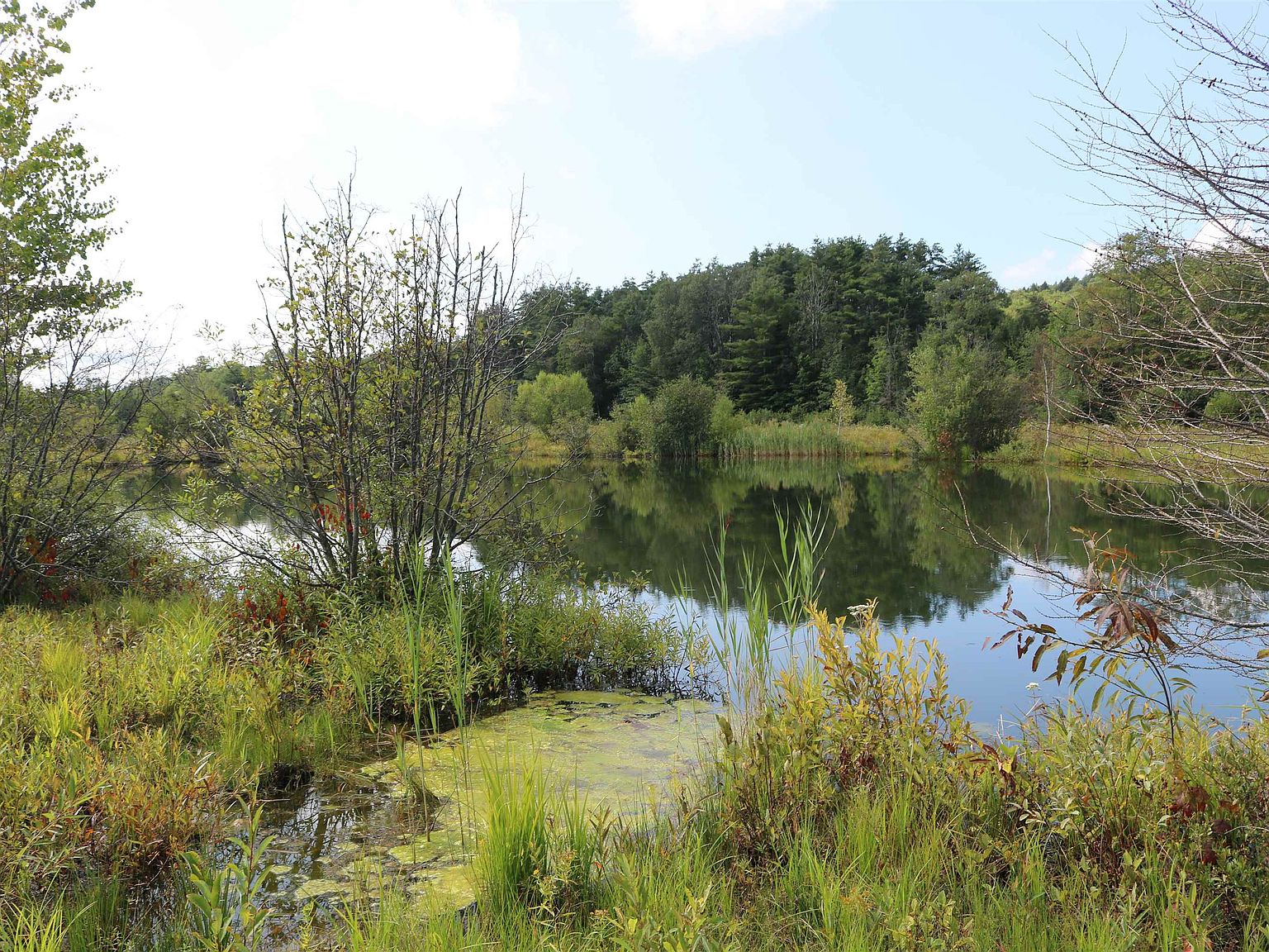 435 Bog Road, Enfield, NH 03748 Zillow