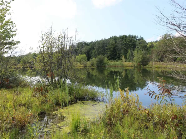 435 Bog Road, Enfield, NH 03748