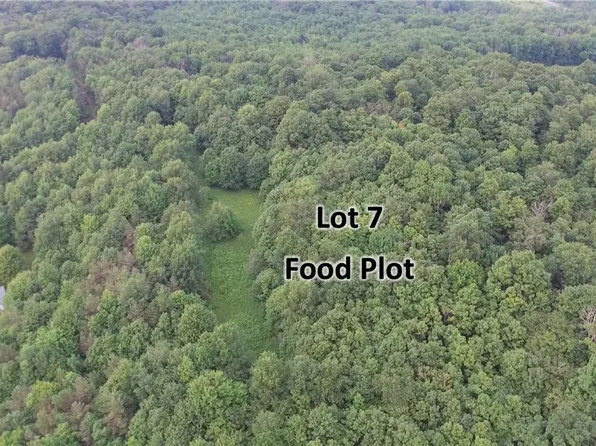LOT 7 Valley View Dr Lot 7, Smyrna, NY 13464