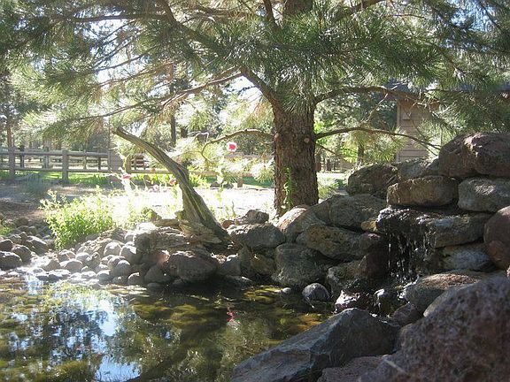 Pond in circular driveway