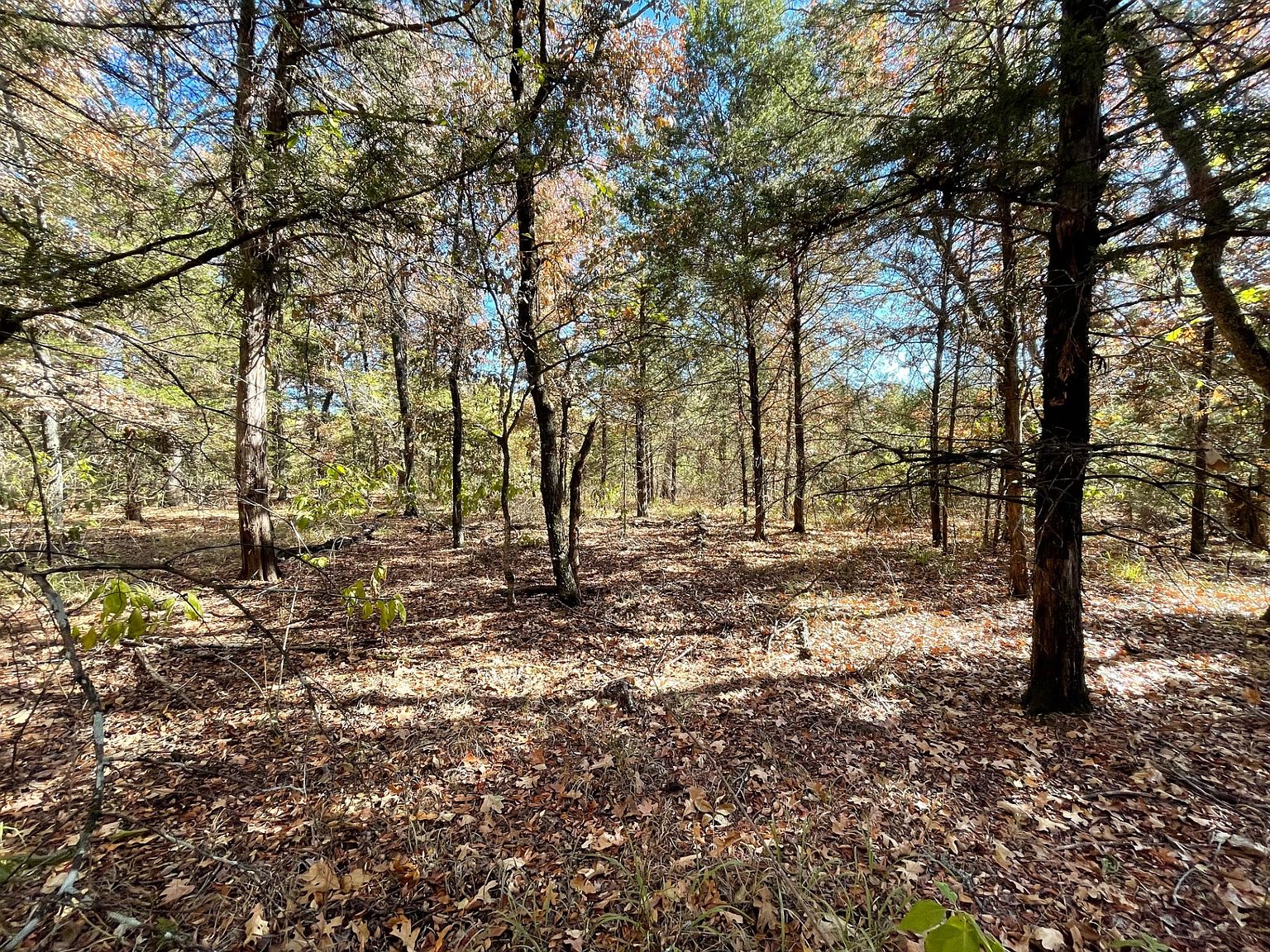 216A Box Springs Rd, Antlers, OK 74523 Zillow