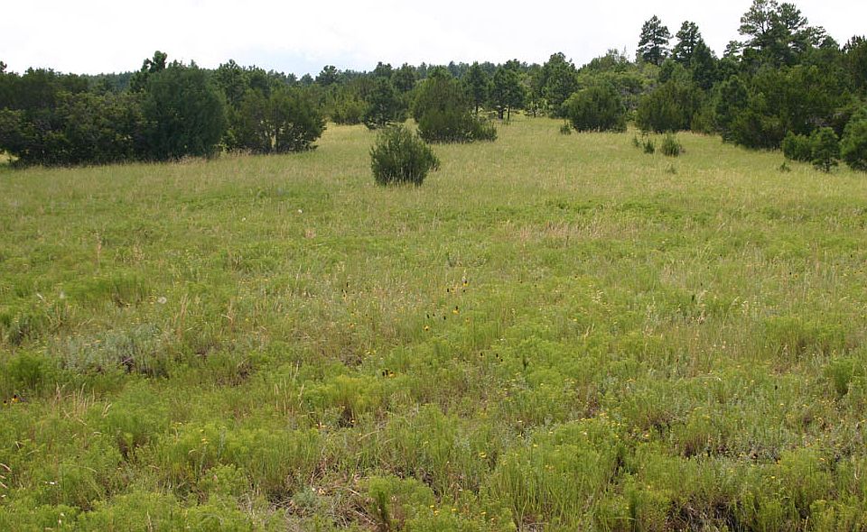 1st image of 40 Ac W 6 Ac Seasonal Pond