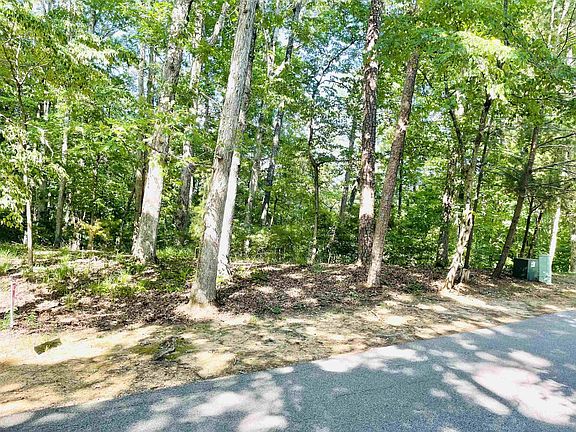 4th image of 0 Point Grand Dr Lot 134