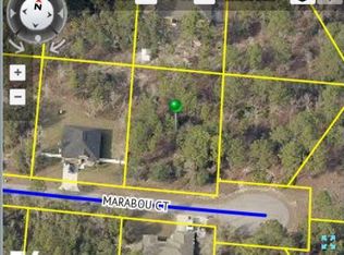 11339 Marabou Ct, Brooksville, FL 34614
