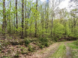 LOT 64 Big Springs Trl, Cherokee, NC 28719
