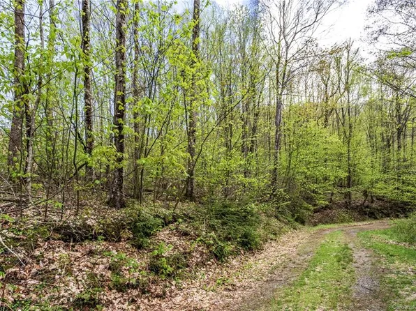 LOT 64 Big Springs Trl, Cherokee, NC 28719
