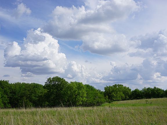 Looking south on Lot 5