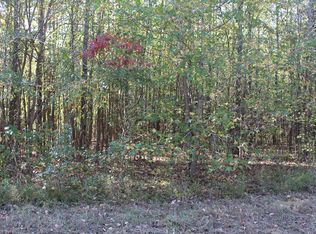 228 Hopewell Rd, Lavinia, TN 38348