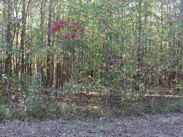228 Hopewell Rd, Lavinia, TN 38348