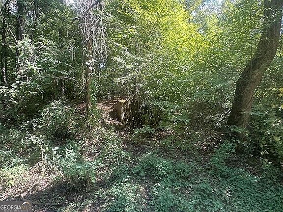 4th image of 0 Millen Rd Tract 21