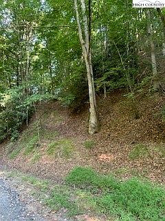 2nd image of Lot 3 Brightwood Trail