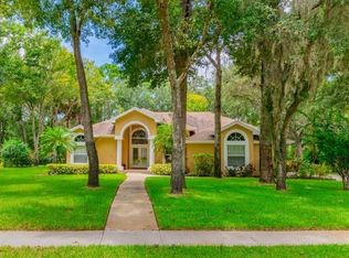 5831 Audubon Manor Blvd, Lithia, FL 33547